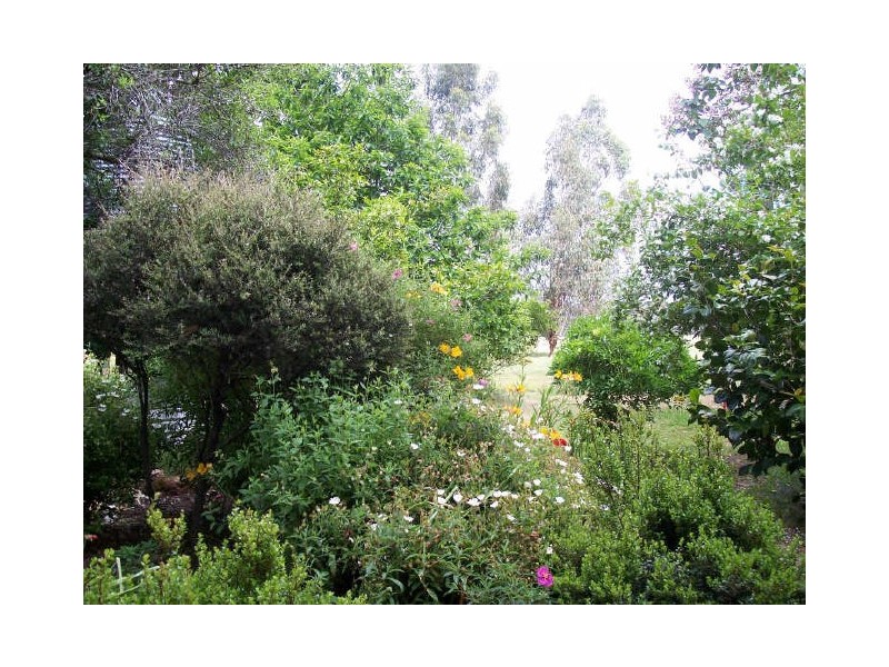 Loc 264 Brockman Highway, Nannup WA 6275