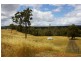 Lot 101 Dean Rd, Nannup WA 6275