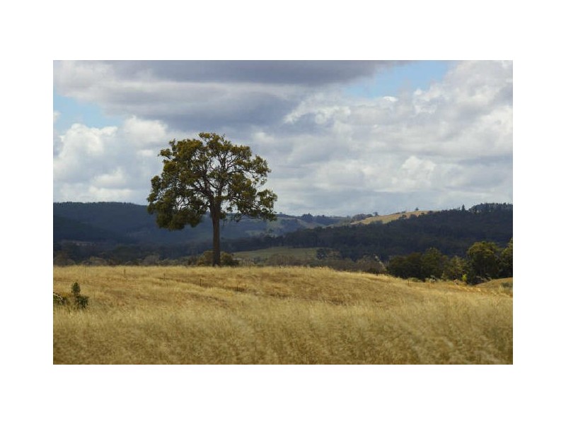 Lot 101 Dean Rd, Nannup WA 6275