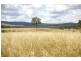 Lot 101 Dean Rd, Nannup WA 6275