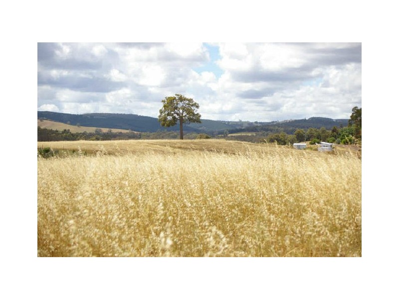 Lot 101 Dean Rd, Nannup WA 6275