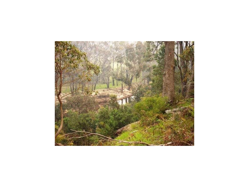 Lot 101 Dean Rd, Nannup WA 6275