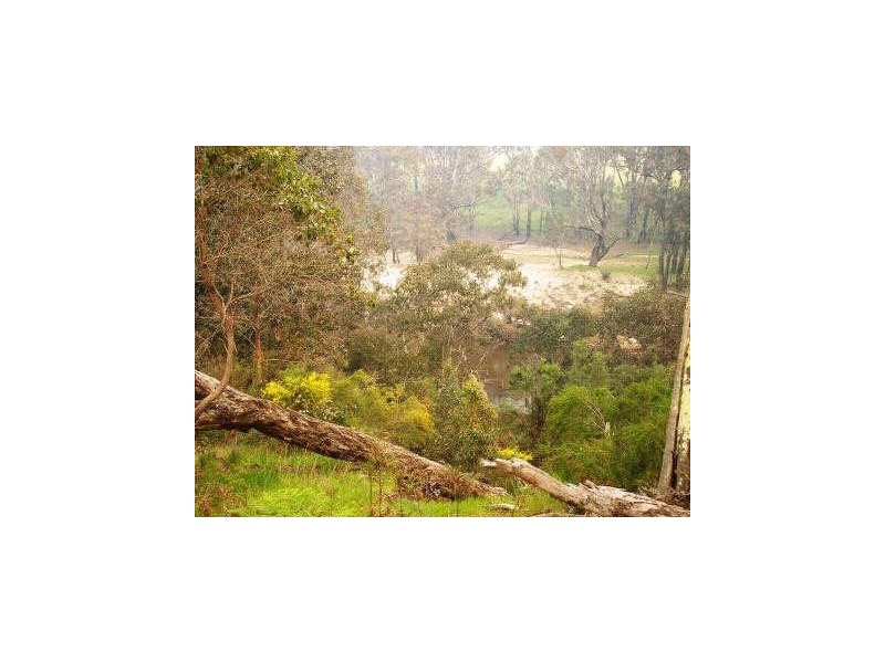 Lot 101 Dean Rd, Nannup WA 6275