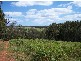 Lot 7 Graphite Road, Nannup WA 6275