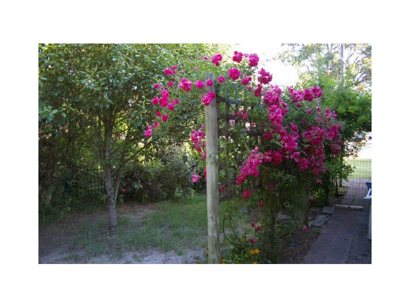 Lot 3 Kearney St, Nannup WA 6275