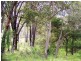 Nannup WA 6275