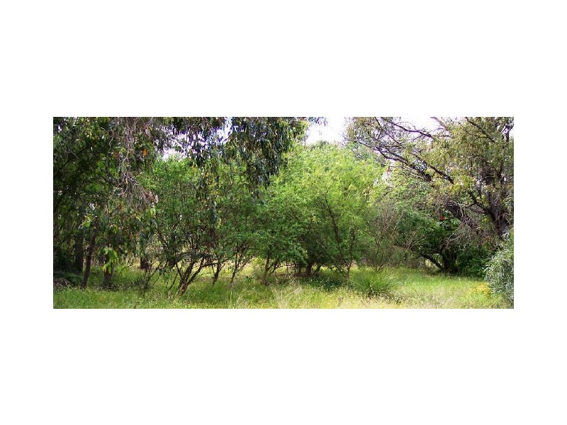 Nannup WA 6275