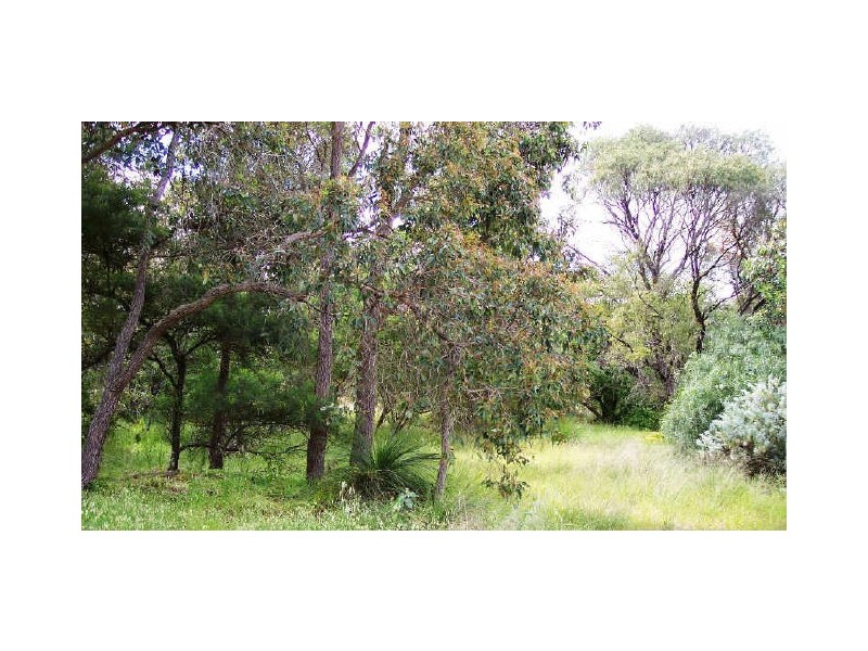 Nannup WA 6275