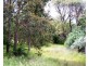 Nannup WA 6275
