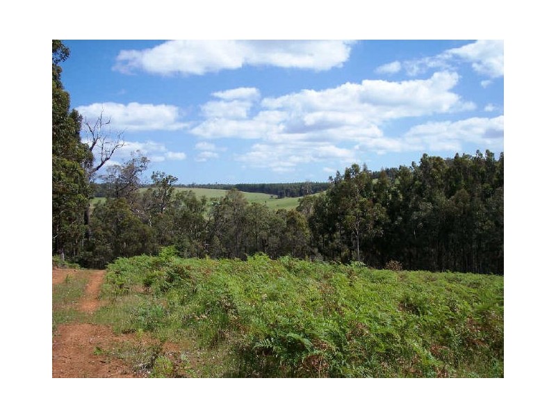 Lot 7 Graphite Road, Nannup WA 6275