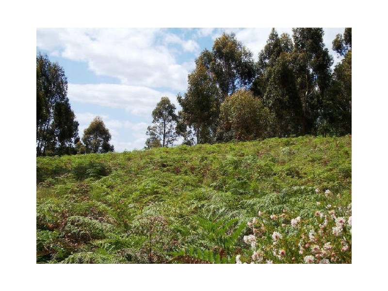 Lot 7 Graphite Road, Nannup WA 6275