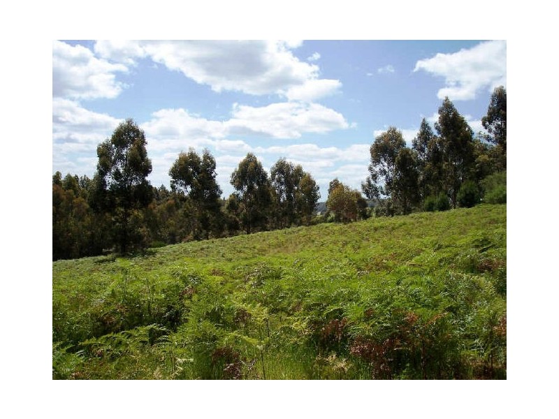 Lot 7 Graphite Road, Nannup WA 6275