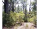 20 Orchid Place, Jalbarragup WA 6275
