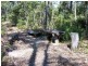 Lot 53 Leschenaultia Drive, Nannup WA 6275