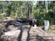 Lot 53 Leschenaultia Drive, Nannup WA 6275