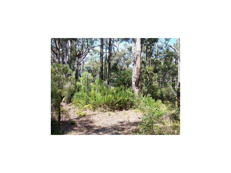 Lot 53 Leschenaultia Drive, Nannup WA 6275