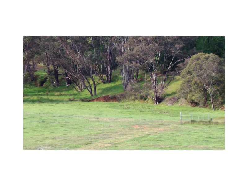 116 Hitchcock Drive, Nannup WA 6275