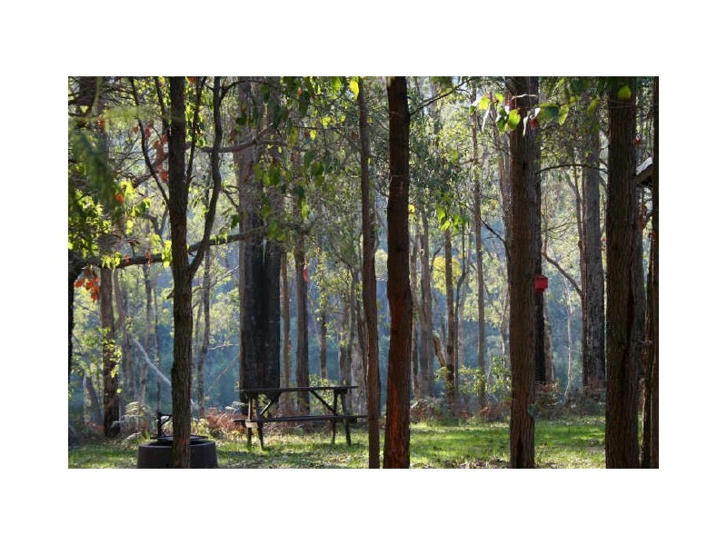 116 Hitchcock Drive, Nannup WA 6275