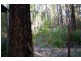 23 Chalwell Road, Nannup WA 6275