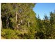 32 Folly Road, Nannup WA 6275