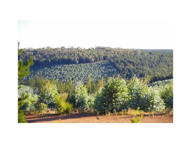 32 Folly Road, Nannup WA 6275