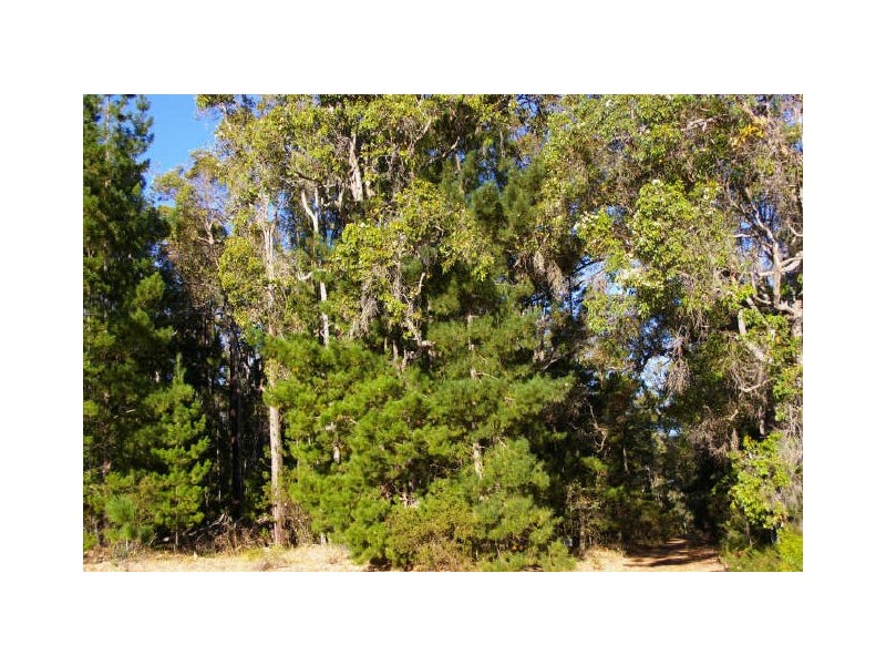 32 Folly Road, Nannup WA 6275