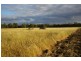 Lot 792 Brockman Highway, Nannup WA 6275