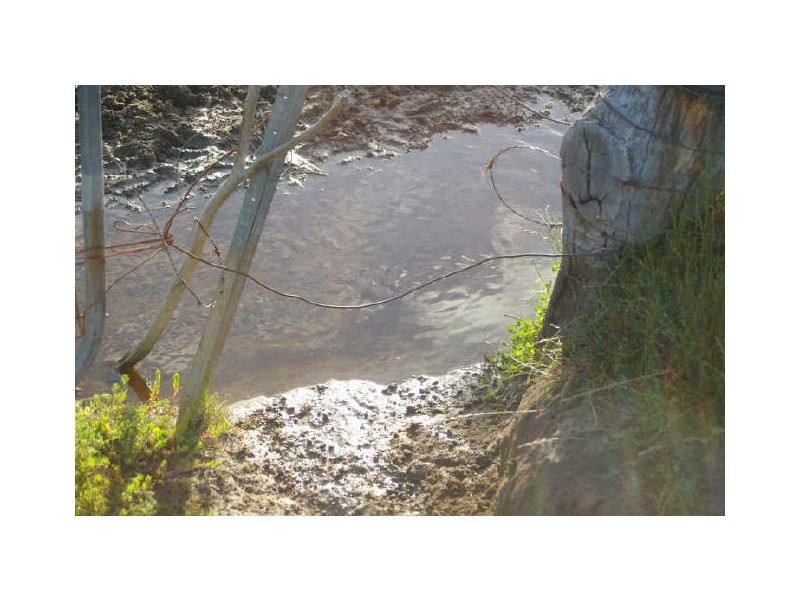 Lot 792 Brockman Highway, Nannup WA 6275