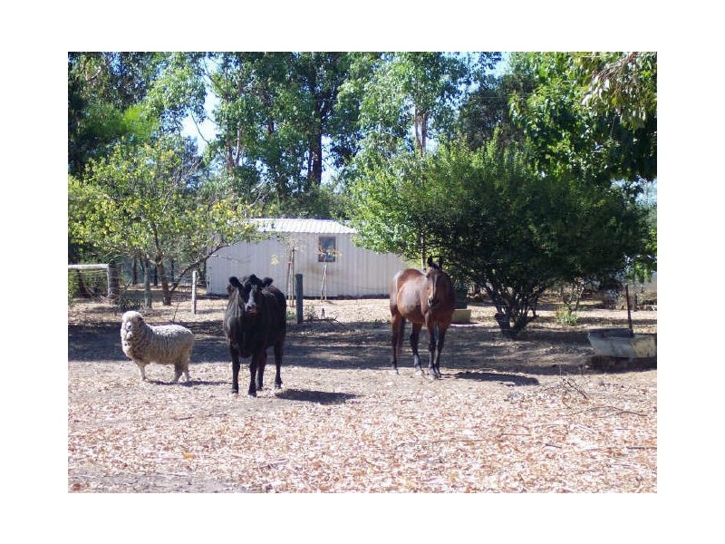 Lot 792 Brockman Highway, Nannup WA 6275