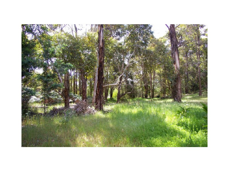 146 Struthers Street, Nannup WA 6275