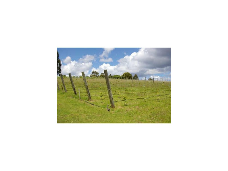 Lot 1/1 Graphite Road, Nannup WA 6275