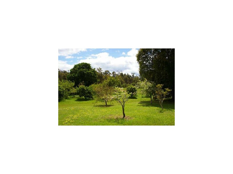 Lot 1/1 Graphite Road, Nannup WA 6275