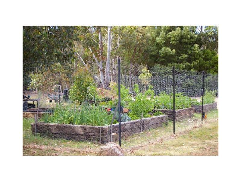 Lot 55 Dean Rd, Nannup WA 6275
