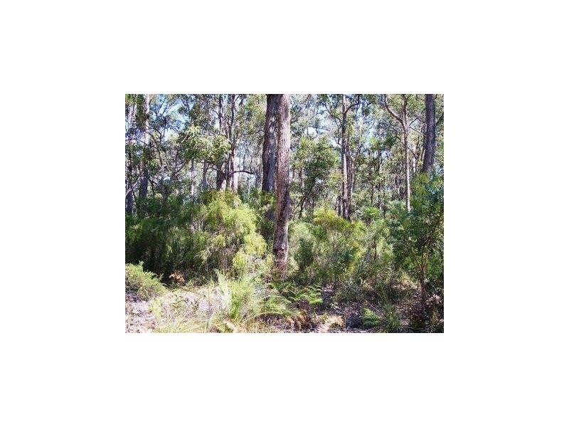 Lot 54 Leschenaultia Drive, Nannup WA 6275