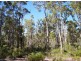 Lot 54 Leschenaultia Drive, Nannup WA 6275