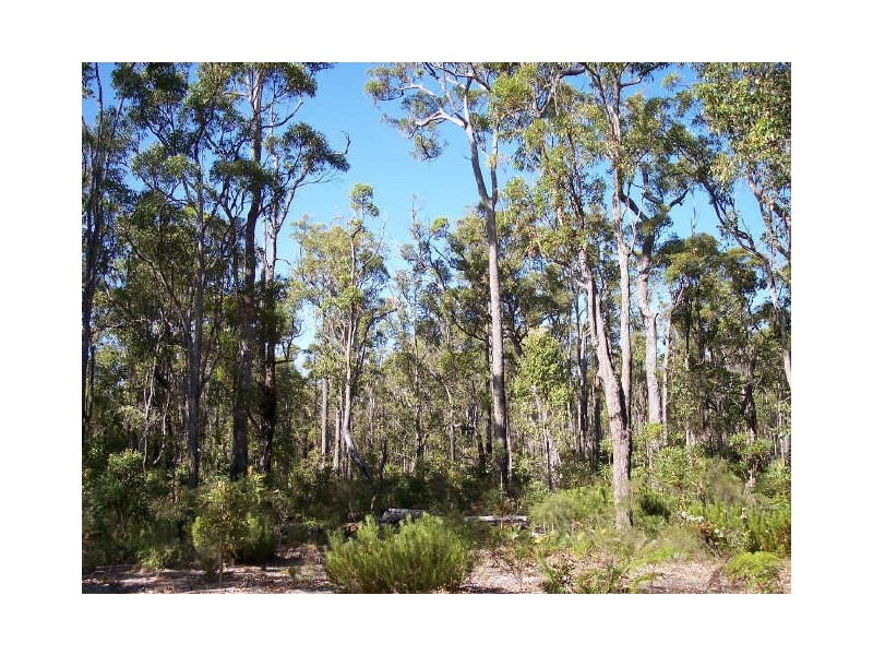 Lot 54 Leschenaultia Drive, Nannup WA 6275