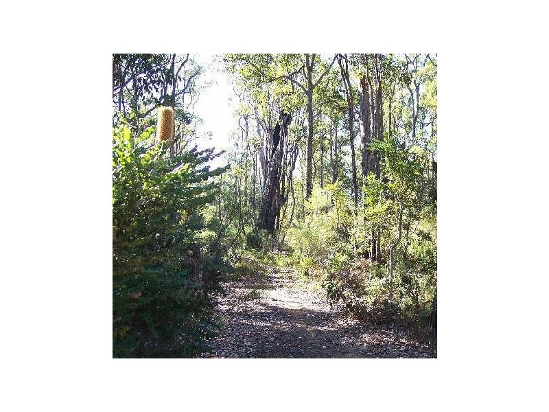 Lot 54 Leschenaultia Drive, Nannup WA 6275