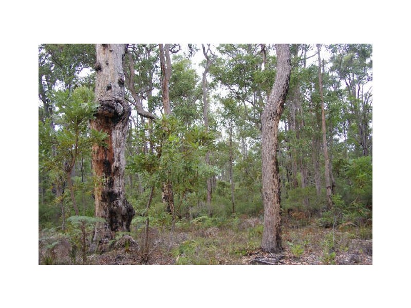 Lot 54 Leschenaultia Drive, Nannup WA 6275