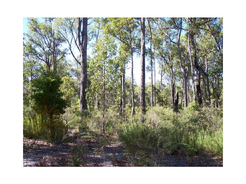 Lot 54 Leschenaultia Drive, Nannup WA 6275