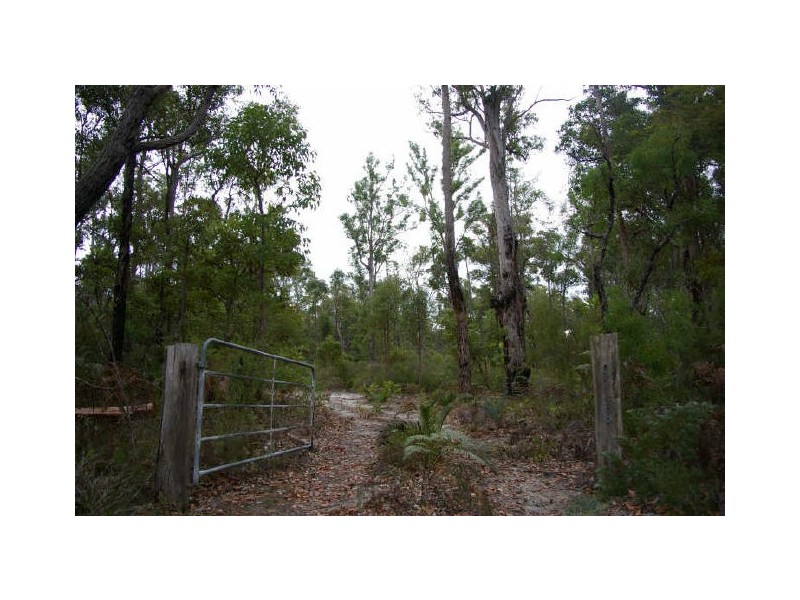 Lot 54 Leschenaultia Drive, Nannup WA 6275