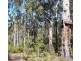 Lot 54 Leschenaultia Drive, Nannup WA 6275