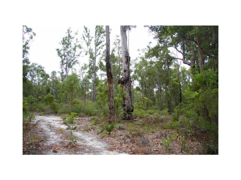 Lot 54 Leschenaultia Drive, Nannup WA 6275