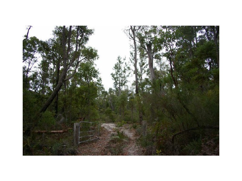 Lot 54 Leschenaultia Drive, Nannup WA 6275