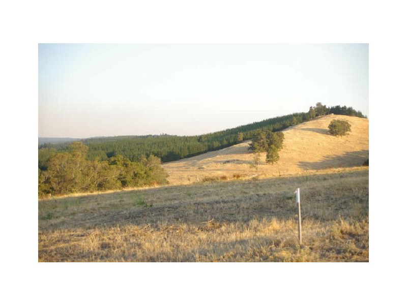 17 Hitchcock Drive, Nannup WA 6275