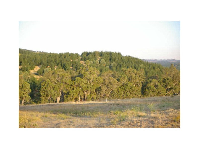 17 Hitchcock Drive, Nannup WA 6275