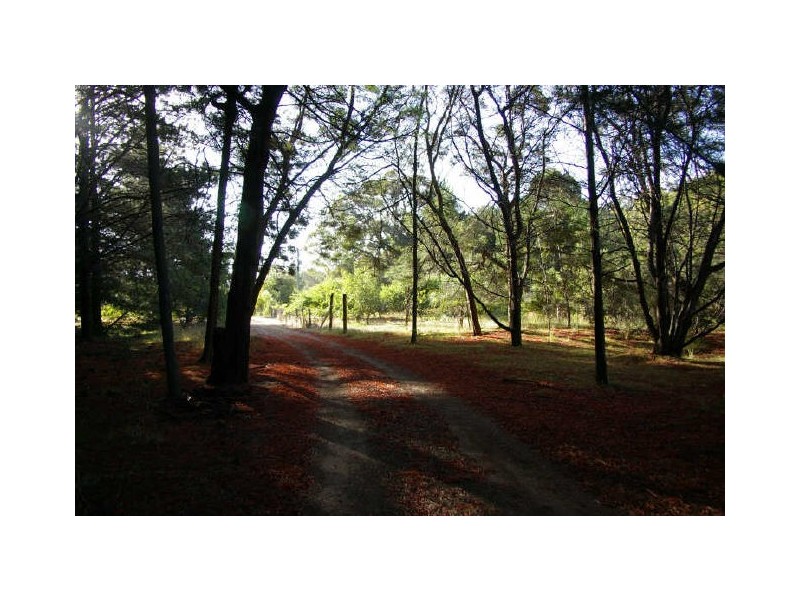 Lot 100 Chalwell Road, Carlotta WA 6275