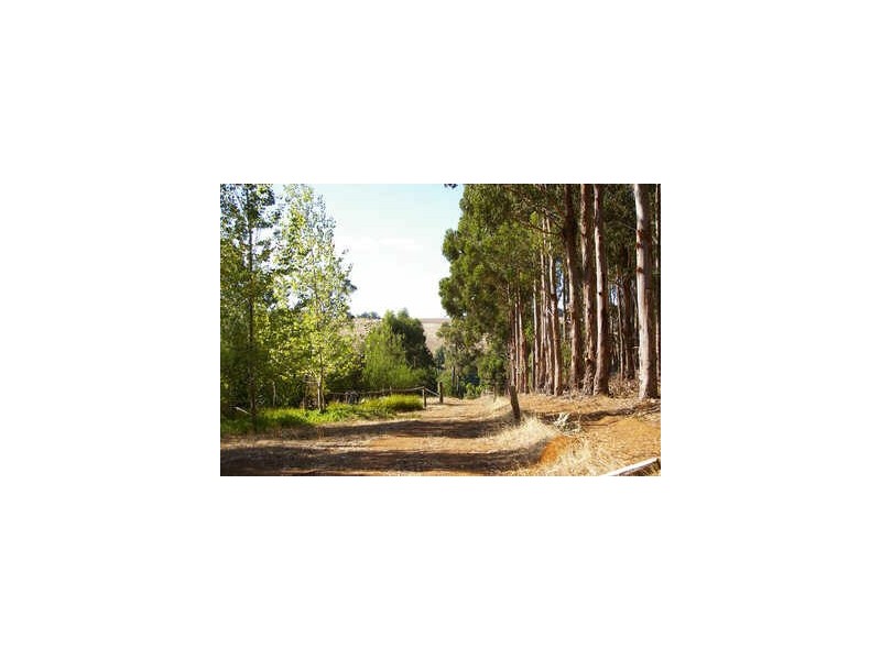 Lot 7 Graphite Road, Nannup WA 6275