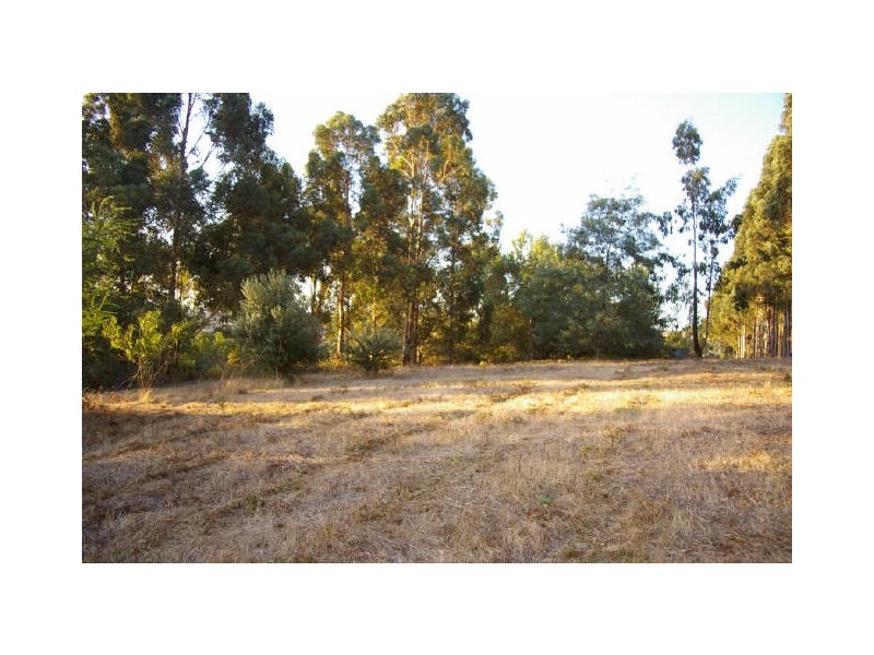 Lot 7 Graphite Road, Nannup WA 6275