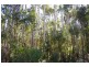 Lot 7 Graphite Road, Nannup WA 6275