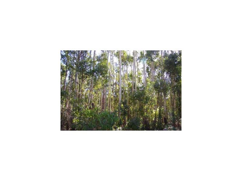 Lot 7 Graphite Road, Nannup WA 6275